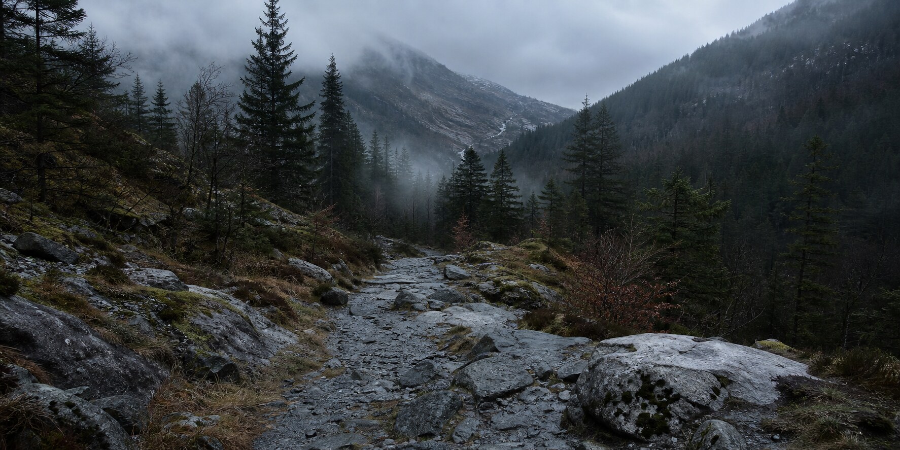 A wet rocky trail through a pine-covered Norwegian valley evokes Bergen's Isdalen.