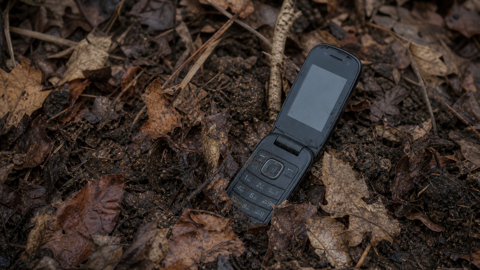 A dark flip phone among wet autumn leaves evokes the lost communications in the Jamison family case.