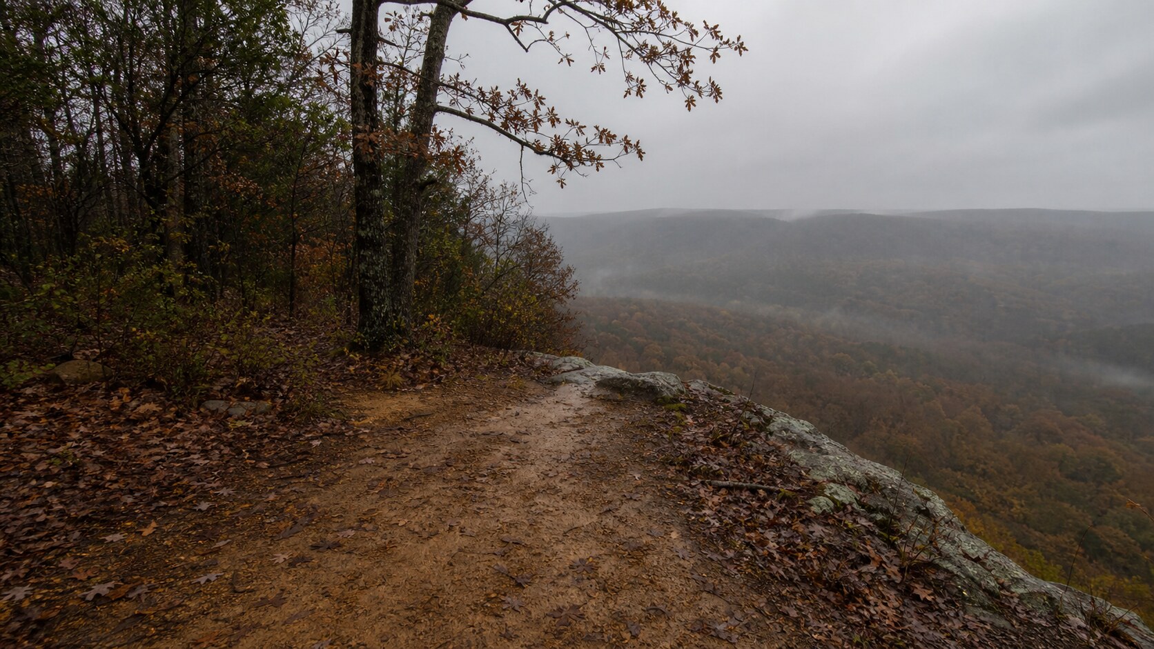 A remote autumn bluff in southeastern Oklahoma evokes the Jamison family's final known phone photograph area.