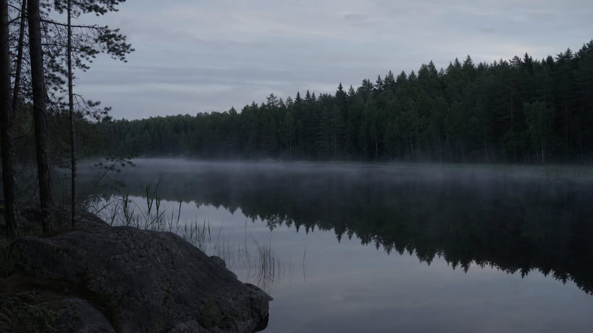 A dark Finnish lake surrounded by pine and birch forest at cold summer twilight, representing the Lake Bodom murders.
