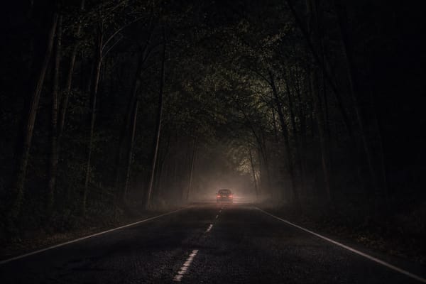 A dark tree-lined road at night represents the Colonial Parkway Killer case in Virginia.