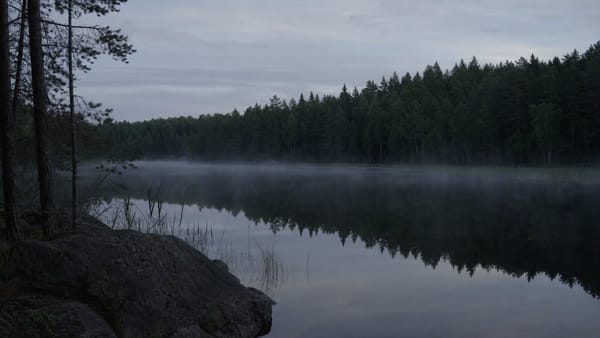 A dark Finnish lake surrounded by pine and birch forest at cold summer twilight, representing the Lake Bodom murders.
